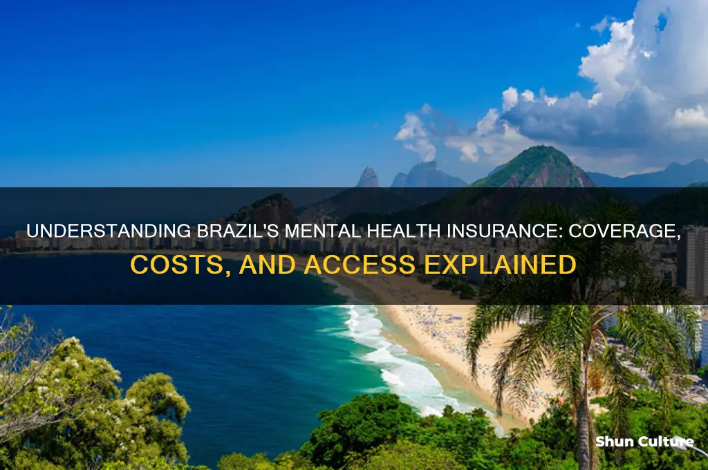 how does mental health insurance work in brazil