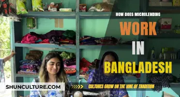 Microlending in Bangladesh: Empowering Communities Through Small Loans