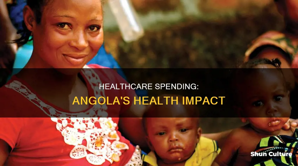 how does money spent on healthcare impact health angola