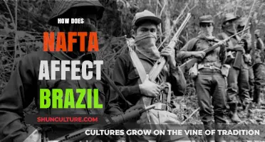 NAFTA's Impact on Brazil: Trade, Economy, and Global Relations Explored