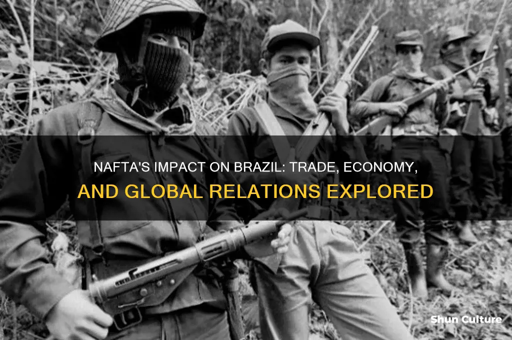 how does nafta affect brazil