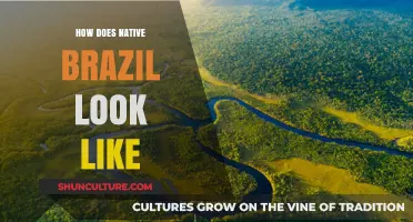 Exploring Brazil's Indigenous Landscapes: Culture, Nature, and Traditions Unveiled