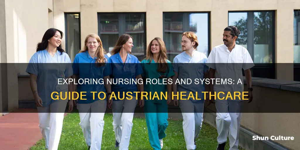 how does nursing work in austria