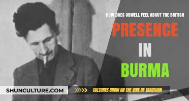 Orwell's Reflections on British Colonial Rule in Burma