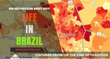 Population Density in Brazil: Shaping Urban Life and Rural Challenges