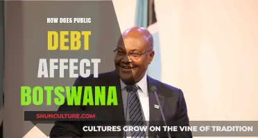 Public Debt's Impact on Botswana's Economy and Future Growth