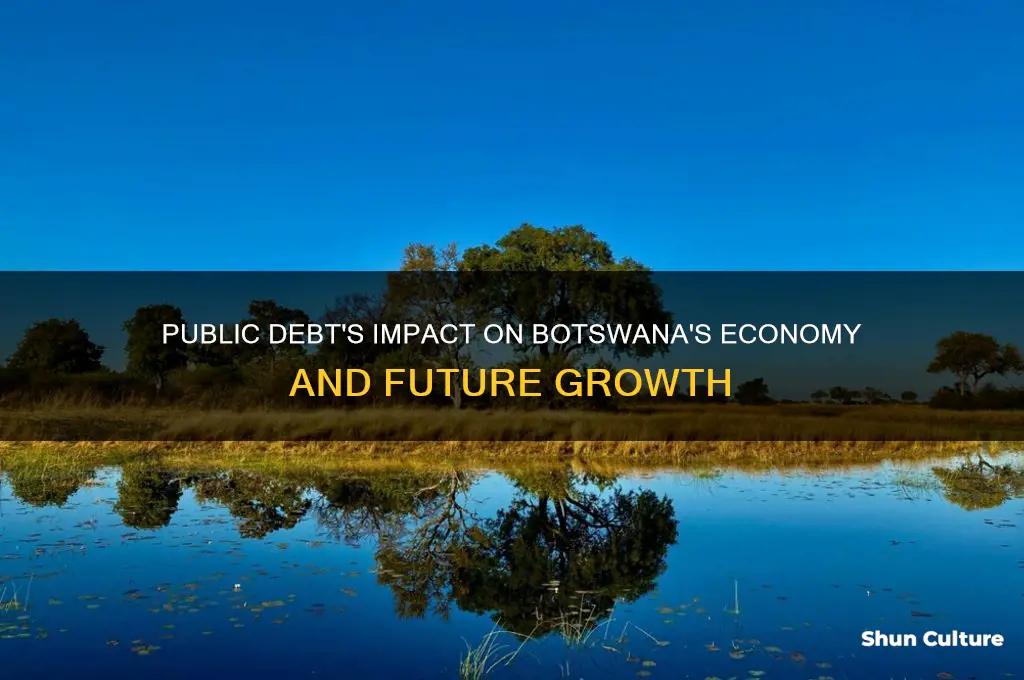 how does public debt affect botswana