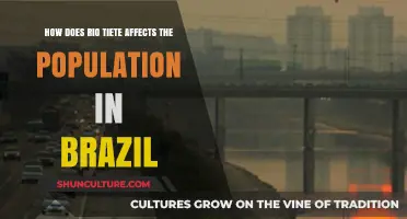 Rio Tietê's Impact on Brazil's Population: Challenges and Consequences