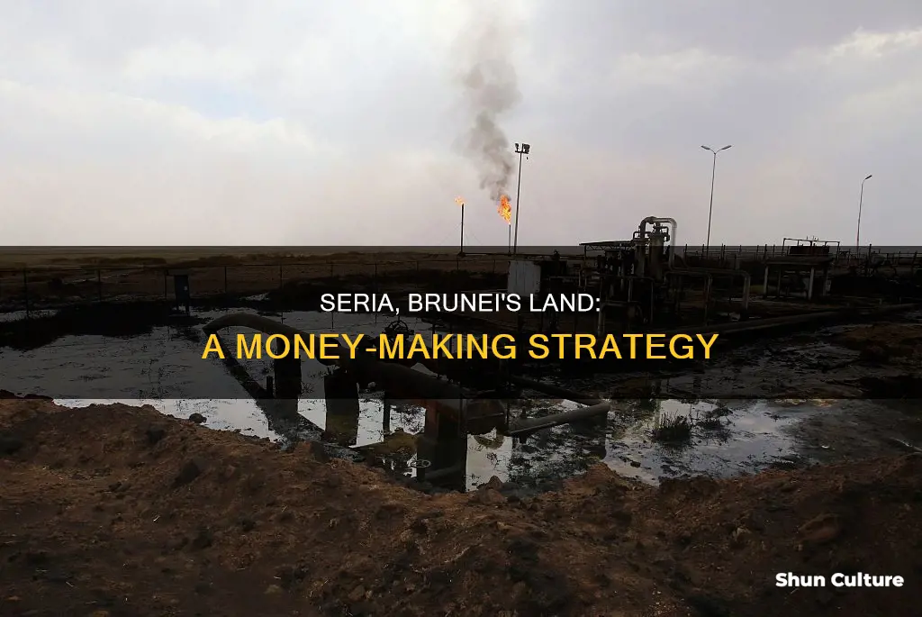 how does seria brunei use their land to make money