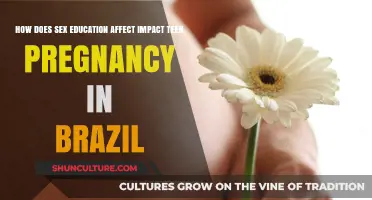 Sex Education in Brazil: Reducing Teen Pregnancy Rates Effectively