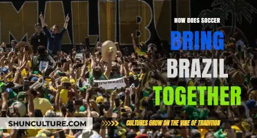 Soccer's Unifying Power: How the Beautiful Game Unites Brazil