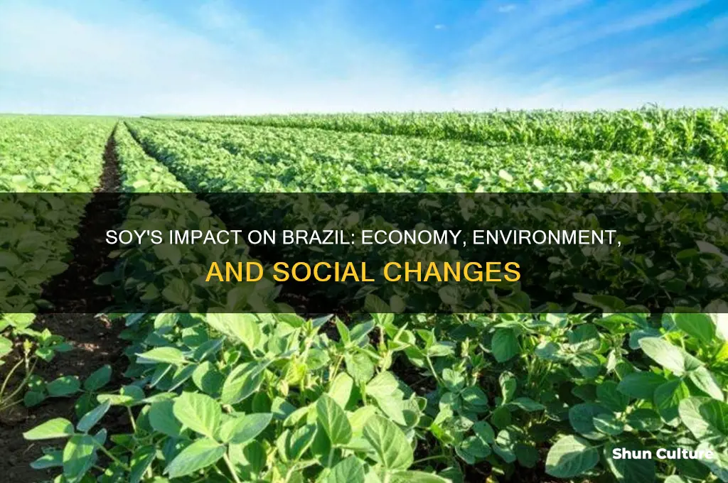 how does soy affect brazil