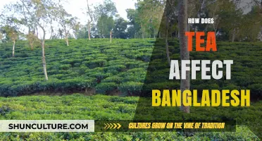 Tea's Impact on Bangladesh: Economy, Culture, and Daily Life Explored