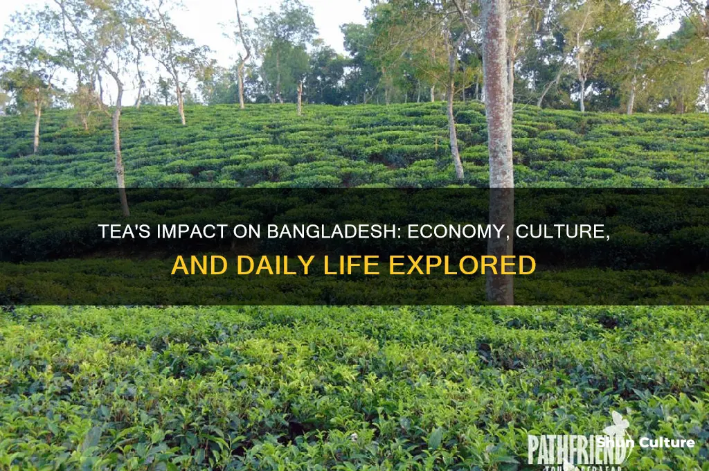how does tea affect bangladesh