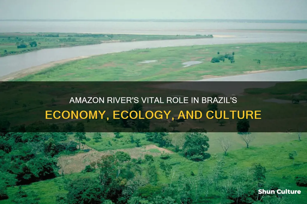 how does the amazon river help brazil