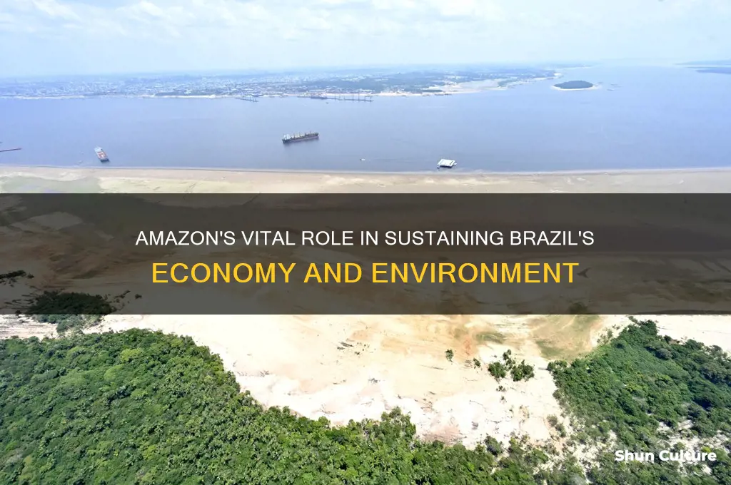 how does the amazon support brazil