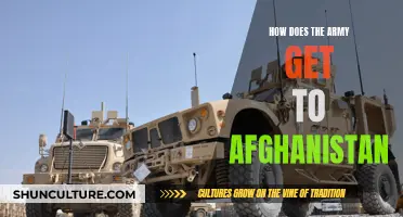 Deployment Strategies: Navigating the Journey to Afghanistan's Battlefield