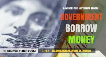 Borrowing Money: Australian Federal Government's Process