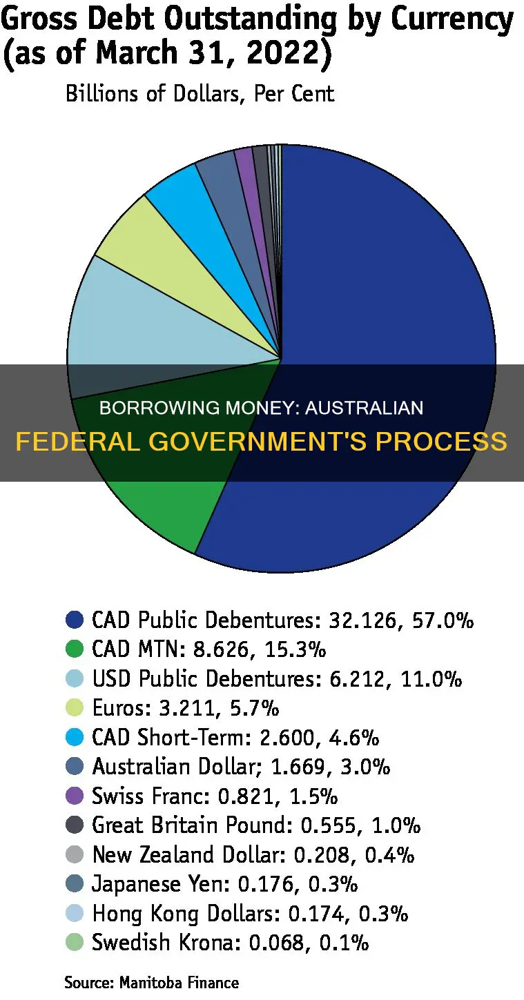 how does the australian federal government borrow money