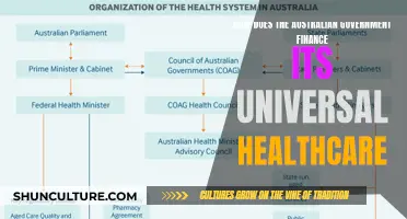 Australian Universal Healthcare: Government Financing Explained