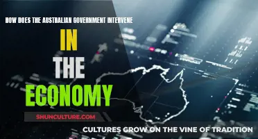 Australian Government's Role in Market Intervention