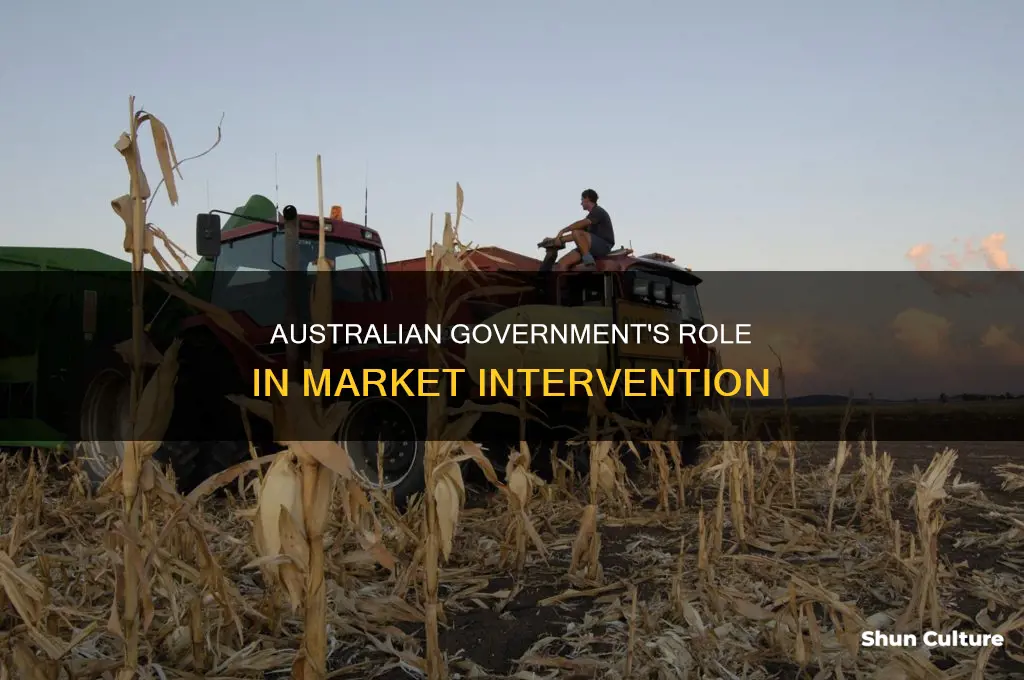 how does the australian government intervene in the economy