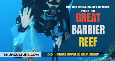Protecting the Great Barrier Reef: Australian Government's Role
