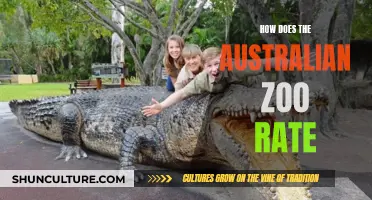 The Australian Zoo: A Wildlife Adventure
