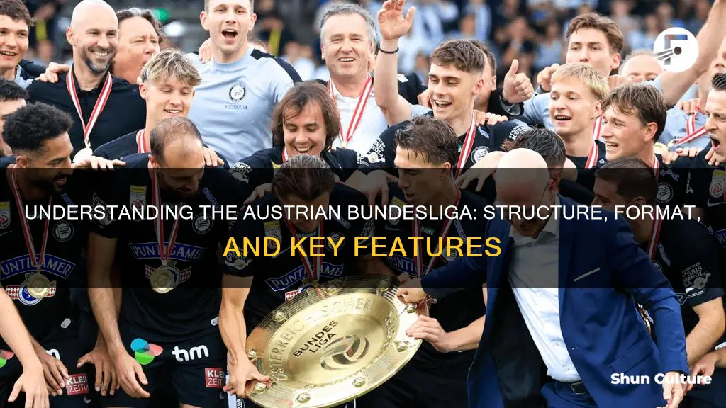 how does the austrian bundesliga work