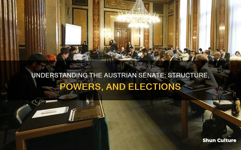 how does the austrian senate work