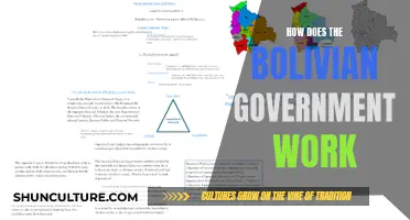 Understanding Bolivia's Governmental Structure and Functioning