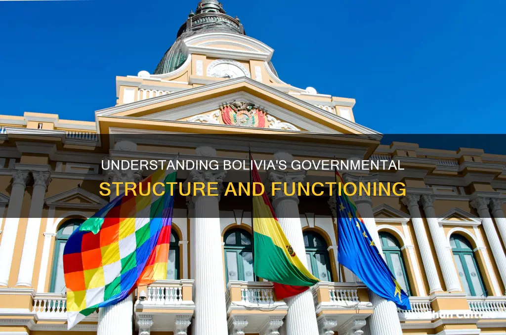 how does the bolivian government work