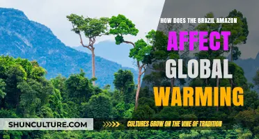 Brazil's Amazon: A Critical Factor in Global Warming Dynamics