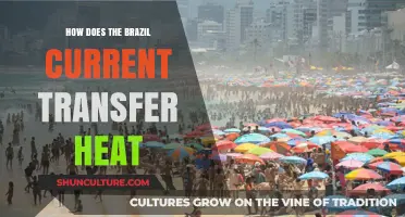 Brazil Current's Role in Global Heat Distribution Explained