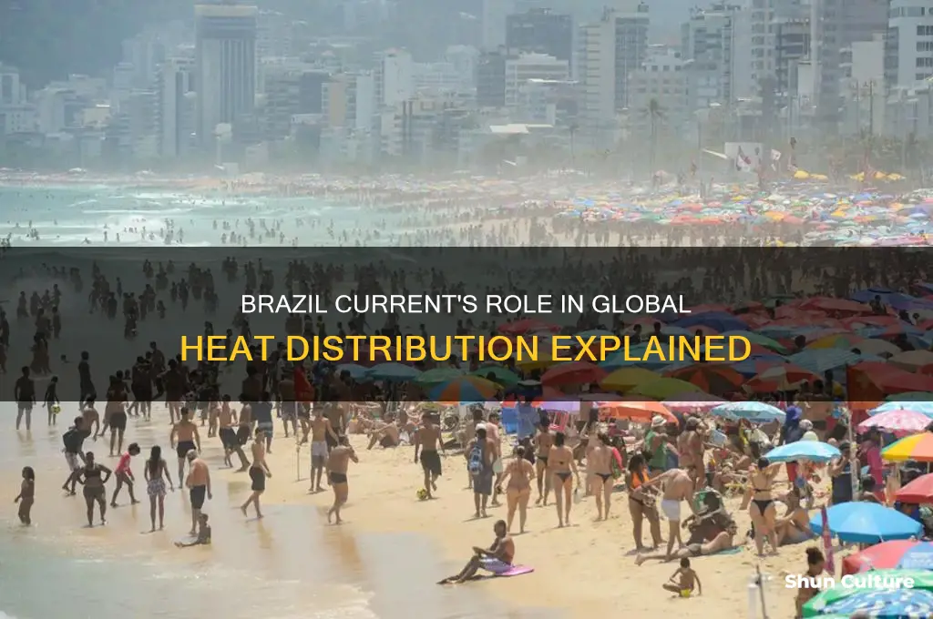 how does the brazil current transfer heat