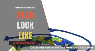 Exploring Brazil's Flag: Colors, Symbols, and Their Meanings Revealed