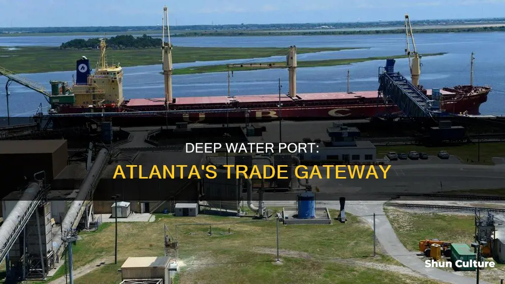 how does the brunswick deep water port affect atlanta