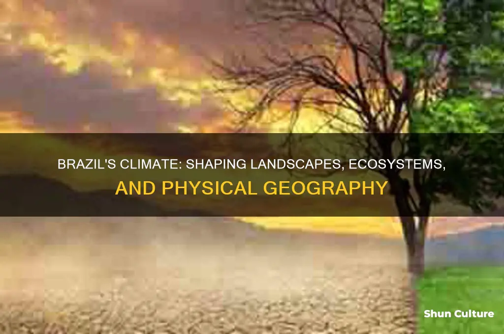 how does the climate of brazil impact its physical geography