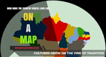 Exploring Brazil's Unique Shape and Geographic Features on the Map