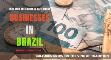 Exchange Rate Impact: How Fluctuations Shape Brazilian Businesses