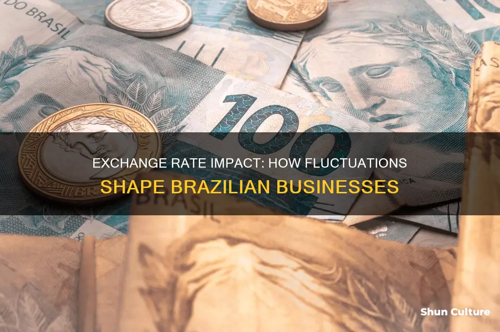 how does the exchange rate affect businesses in brazil