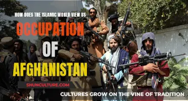 US Occupation of Afghanistan: Through the Lens of the Islamic World