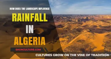 Algeria's Terrain: Shaping Rainfall Patterns Across Diverse Landscapes