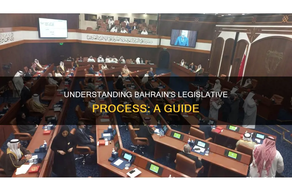 how does the legisltaive process work in bahrain