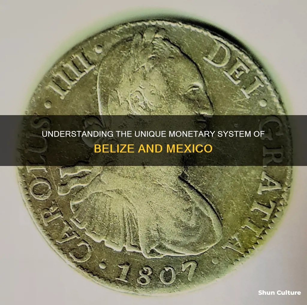 how does the money work in belize mexico