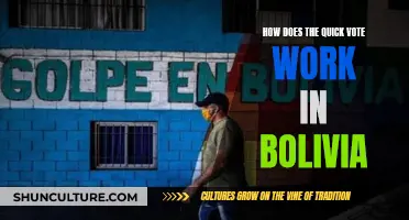 Bolivia's Quick Vote System: How Does It Work?