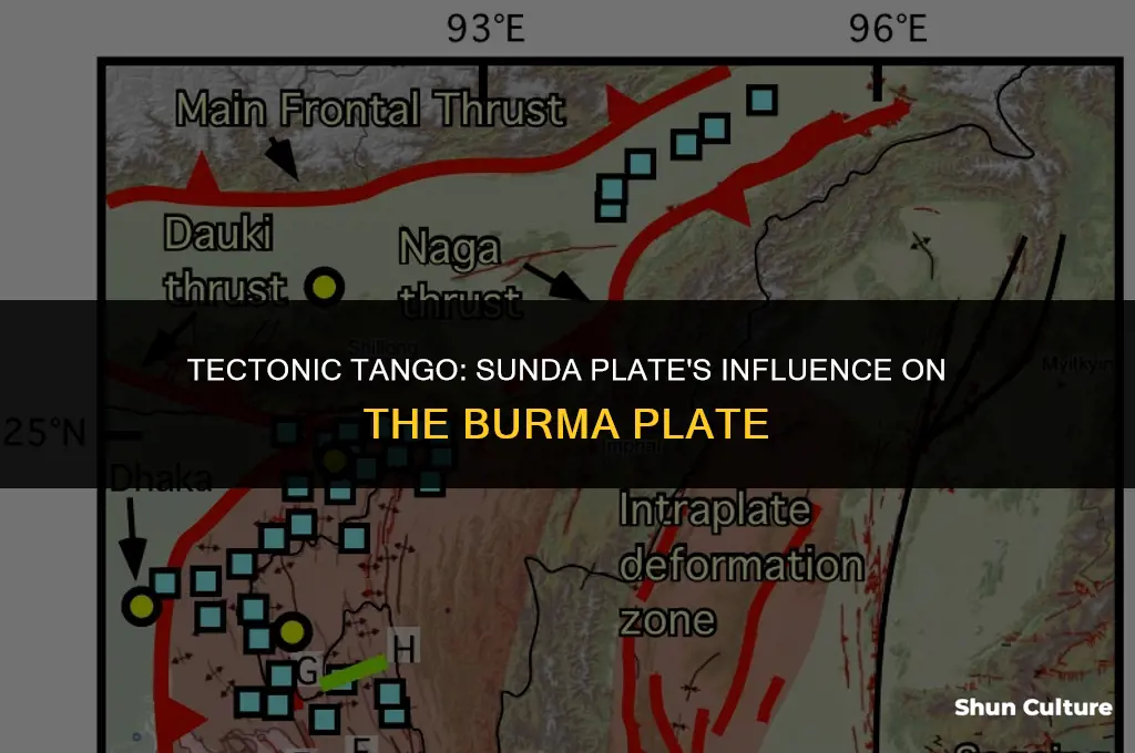 how does the sunda plate impact on the burma plate
