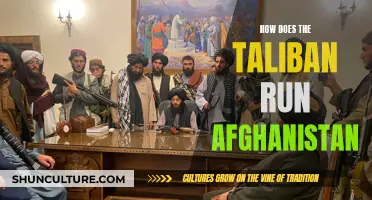 The Taliban's Rule in Afghanistan: Strategies and Challenges