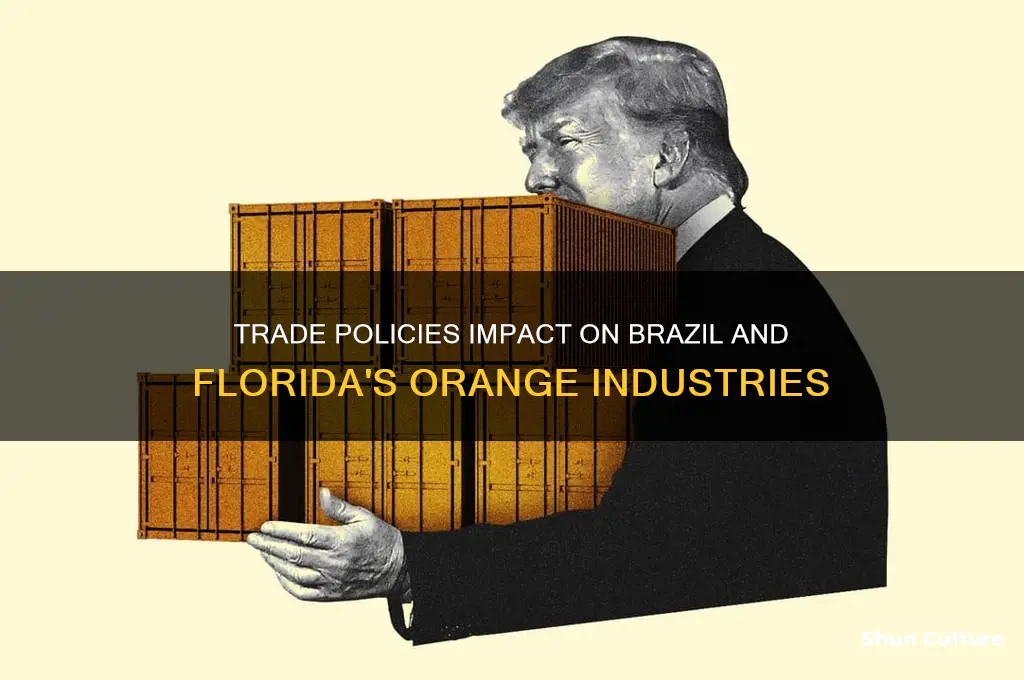 how does the trade policies affect brazil and flroida orgaes