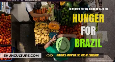 UN's Data Collection Methods on Brazil's Hunger Crisis Explained